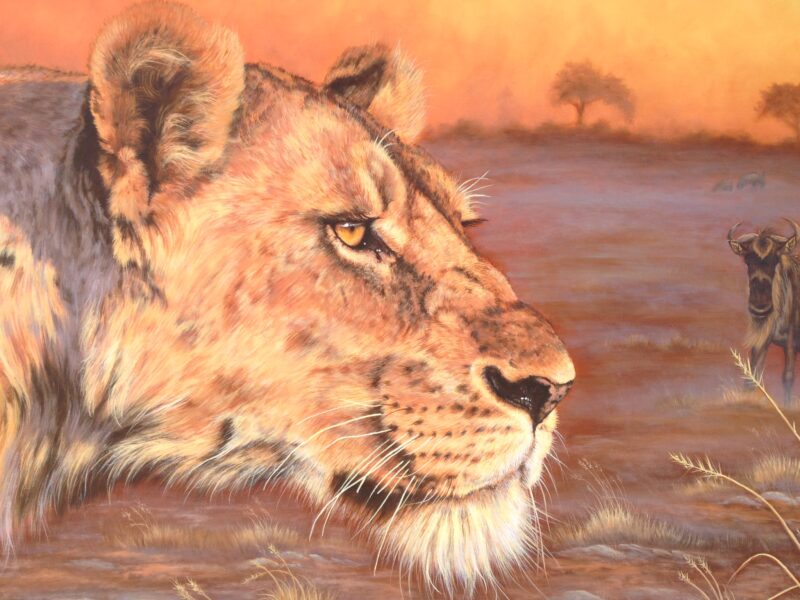 Lioness - Realism