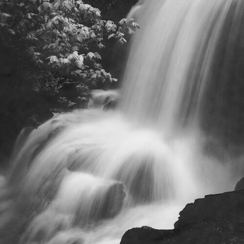 Tanyard Falls, Bella Vista, AR.