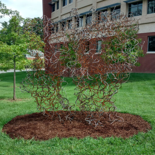 Shelby Fleming, "Bodies" steel