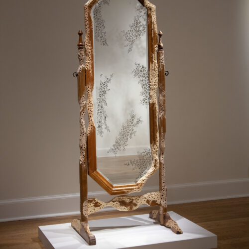 Shelby Fleming, "Osteoporosis: Mirror" wood, mirror