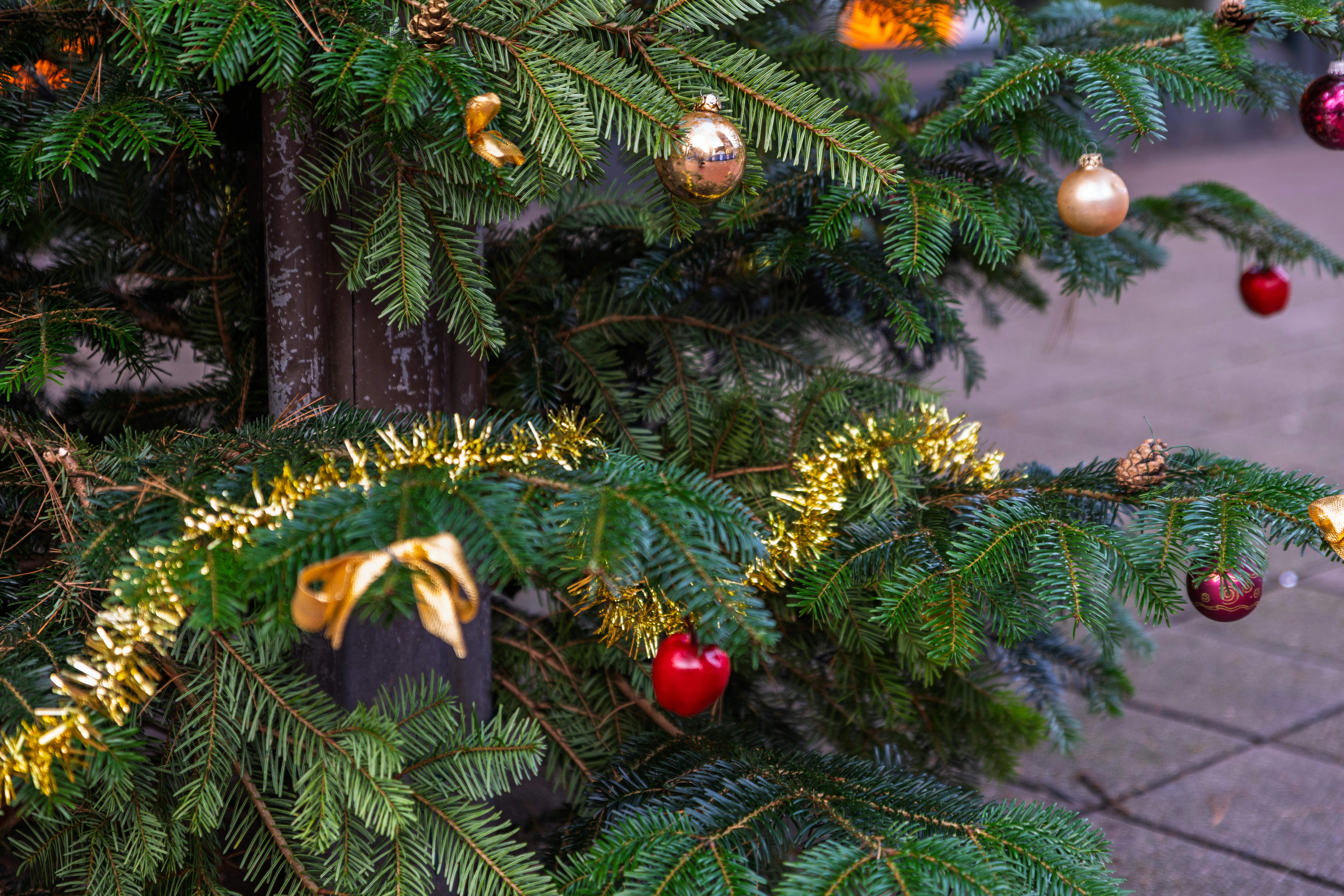 Close-up of a decorated Christmas tree with baubles and tinsel, embracing the festive spirit.