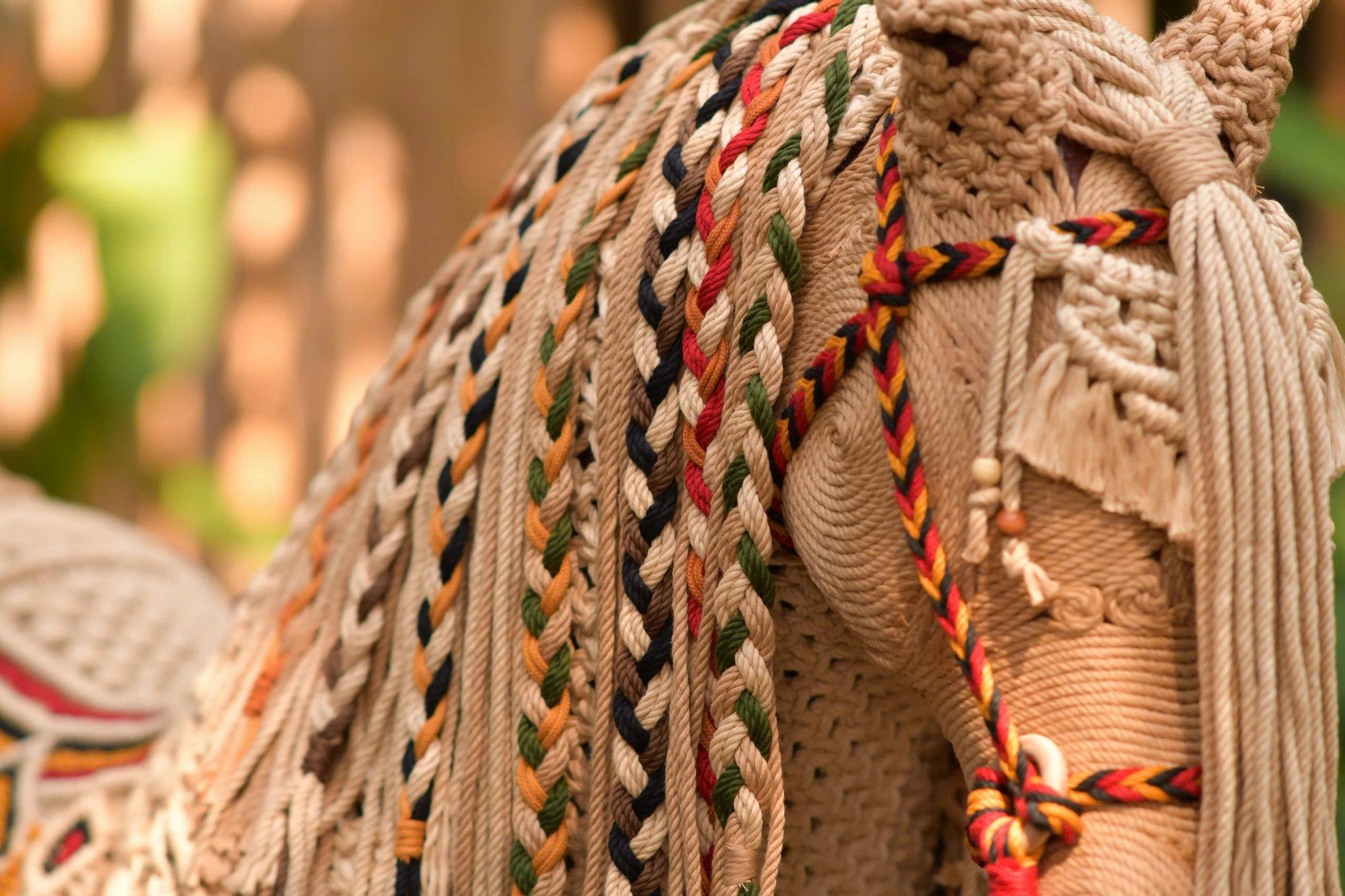 Macrame Plant Hanger Class