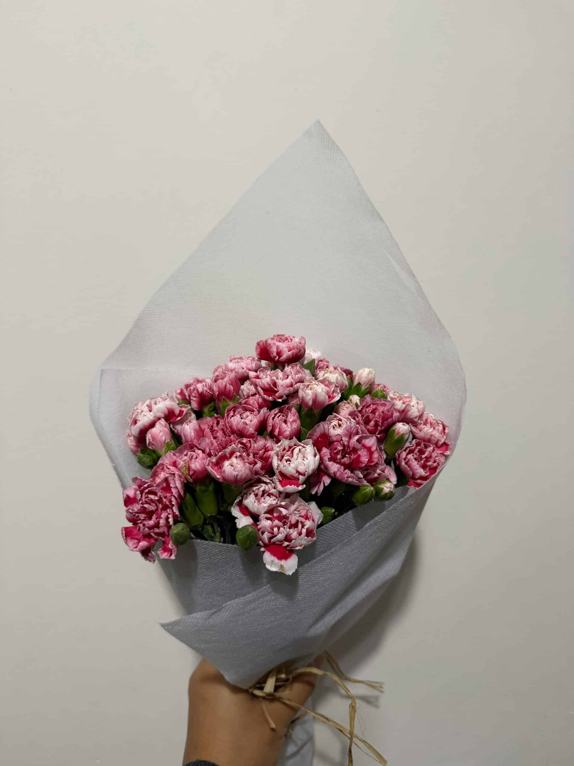 A minimalist bouquet of pink carnations wrapped in white paper, perfect for special occasions.