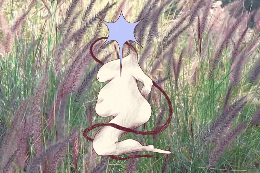 NWA Fat Fashion Show